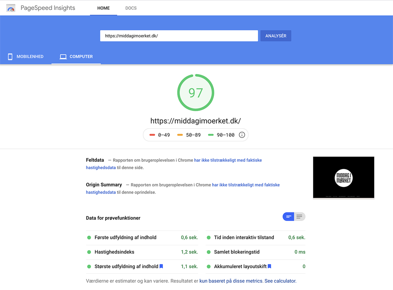 Google PageSpeed Værktøj